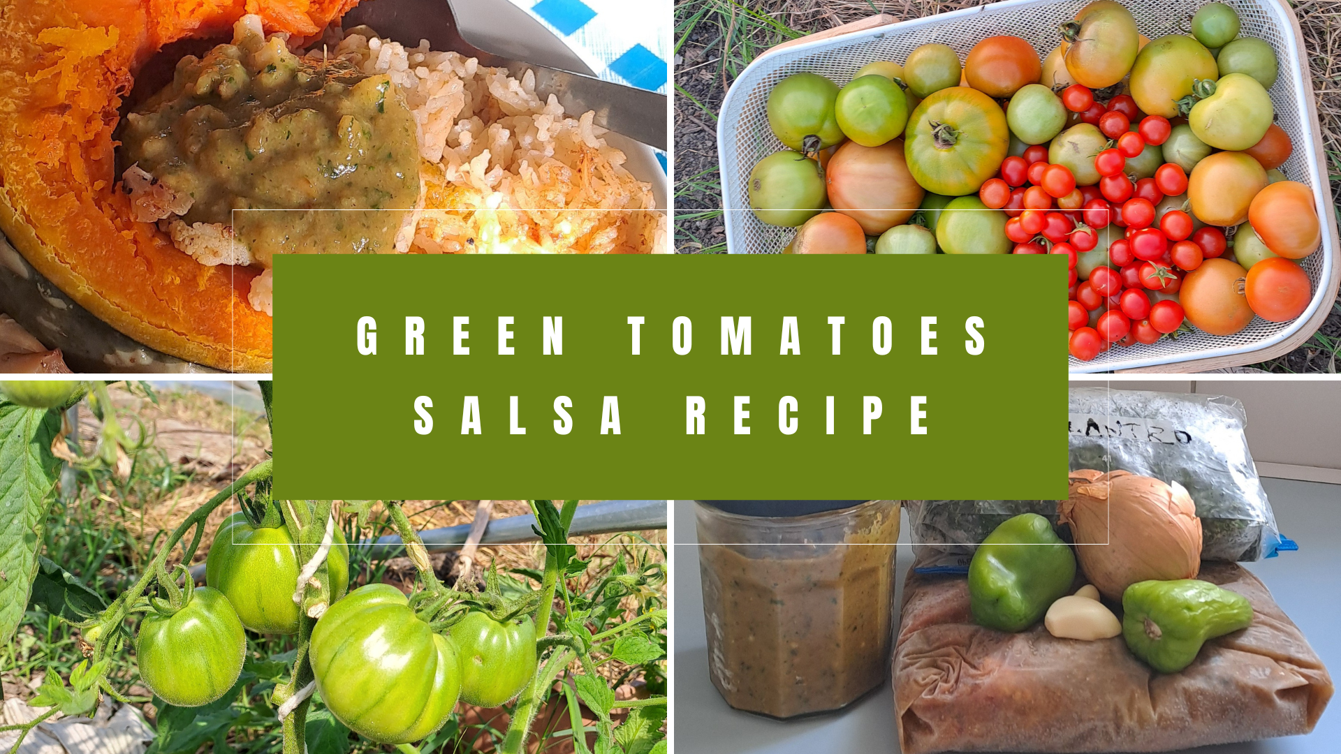 green tomato salsa recipe